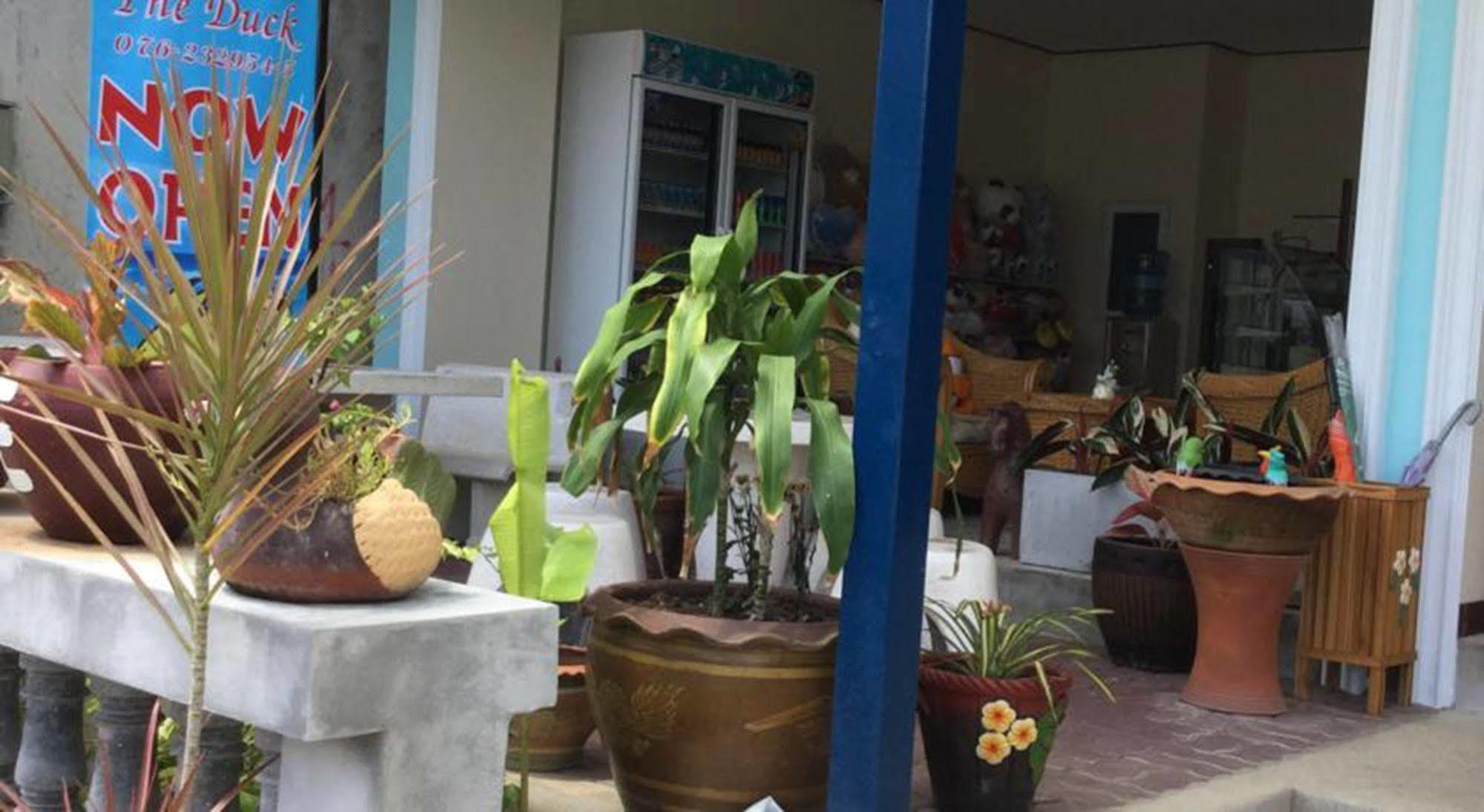 The Duck Hotel Phuket Buitenkant foto